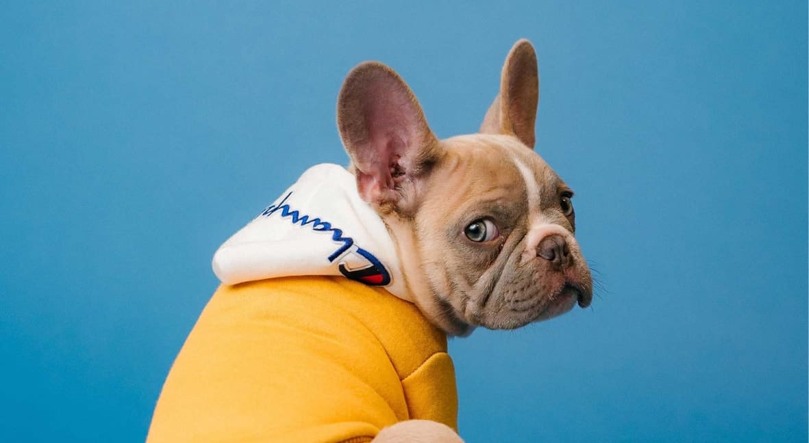 Unique to the lot is a room that will serve as an art gallery, which will feature a new body...